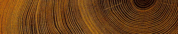 Wood grain signifying strength and stability