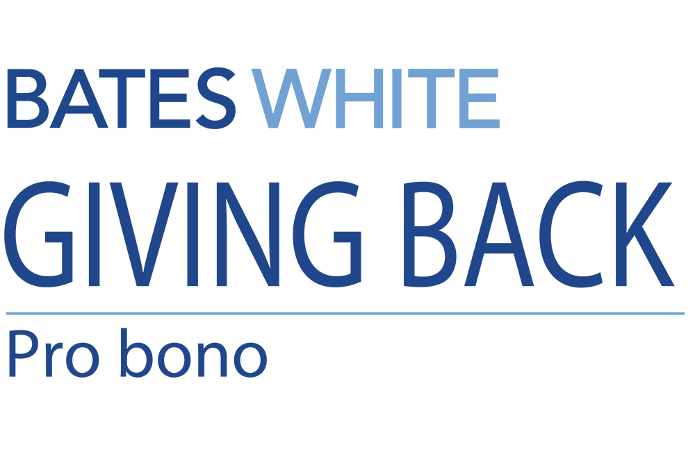Pro bono work