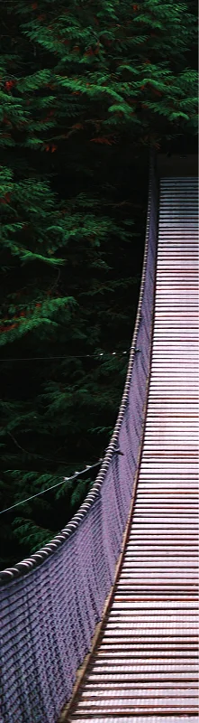 { Banner Spot Image }