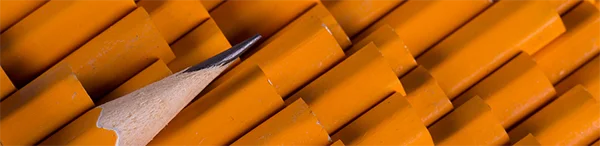 Trends in CLO Collateral and Performance