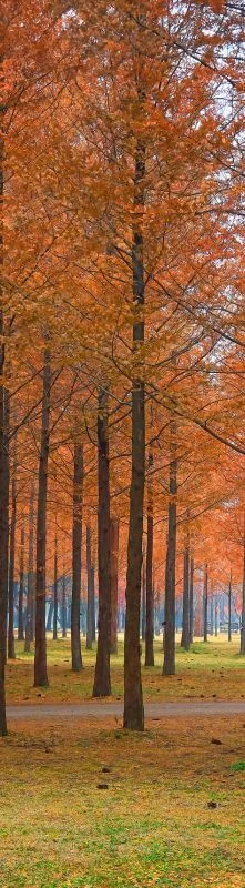 { Banner Spot Image }