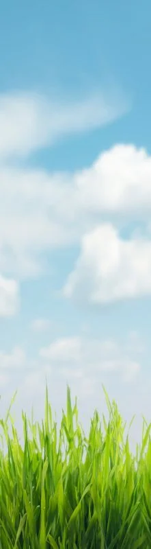 { Banner Spot Image }