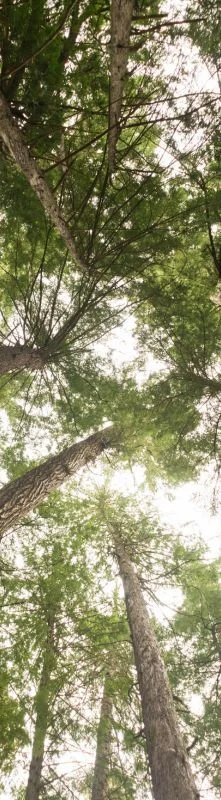 { Banner Spot Image }