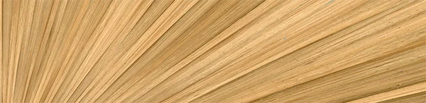 Bates White client NFL wins on post-trial decision