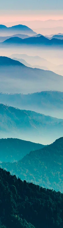 { Banner Spot Image }