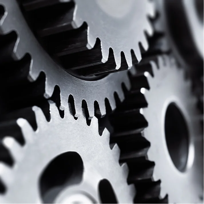 { Section Image }