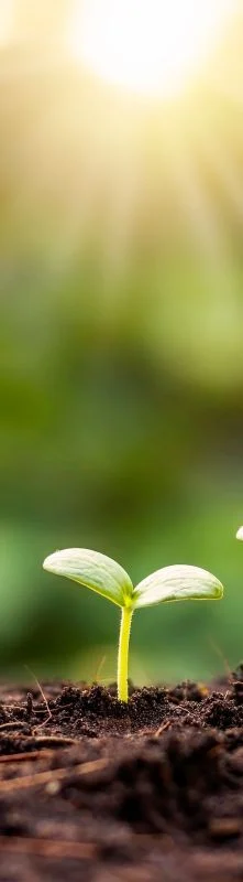 { Banner Spot Image }