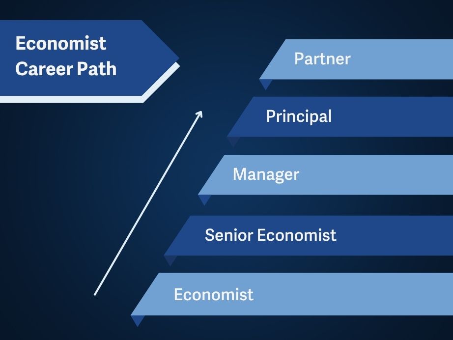 Economist career path A pyramid shows the steps to move from Economist to Partner